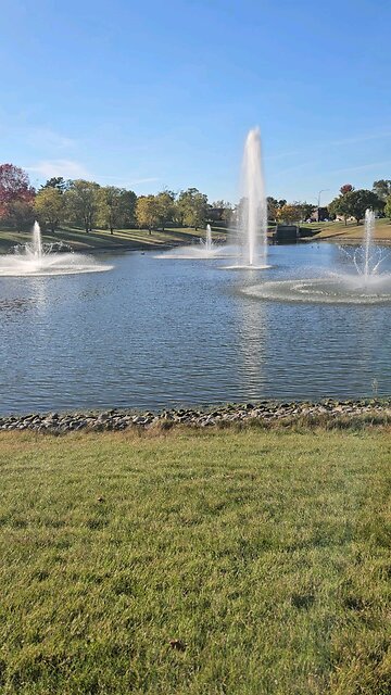 My Peaceful Place - Human Beings