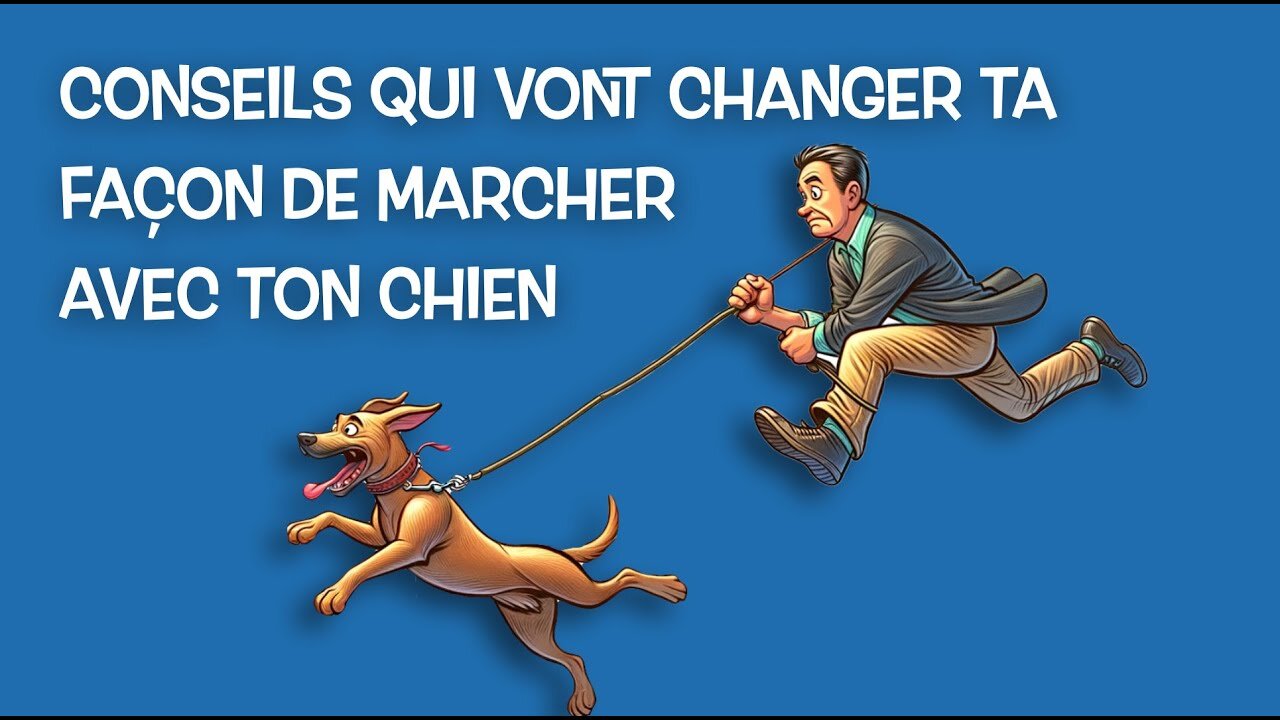 Pourquoi ton chien tire en laisse ?