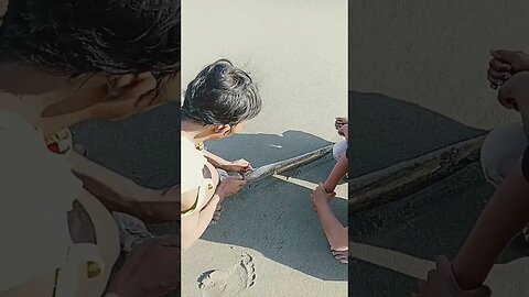Belut Laut #nelayan #fishermen #fishing #traditionalfishermen #fish #fishingnets