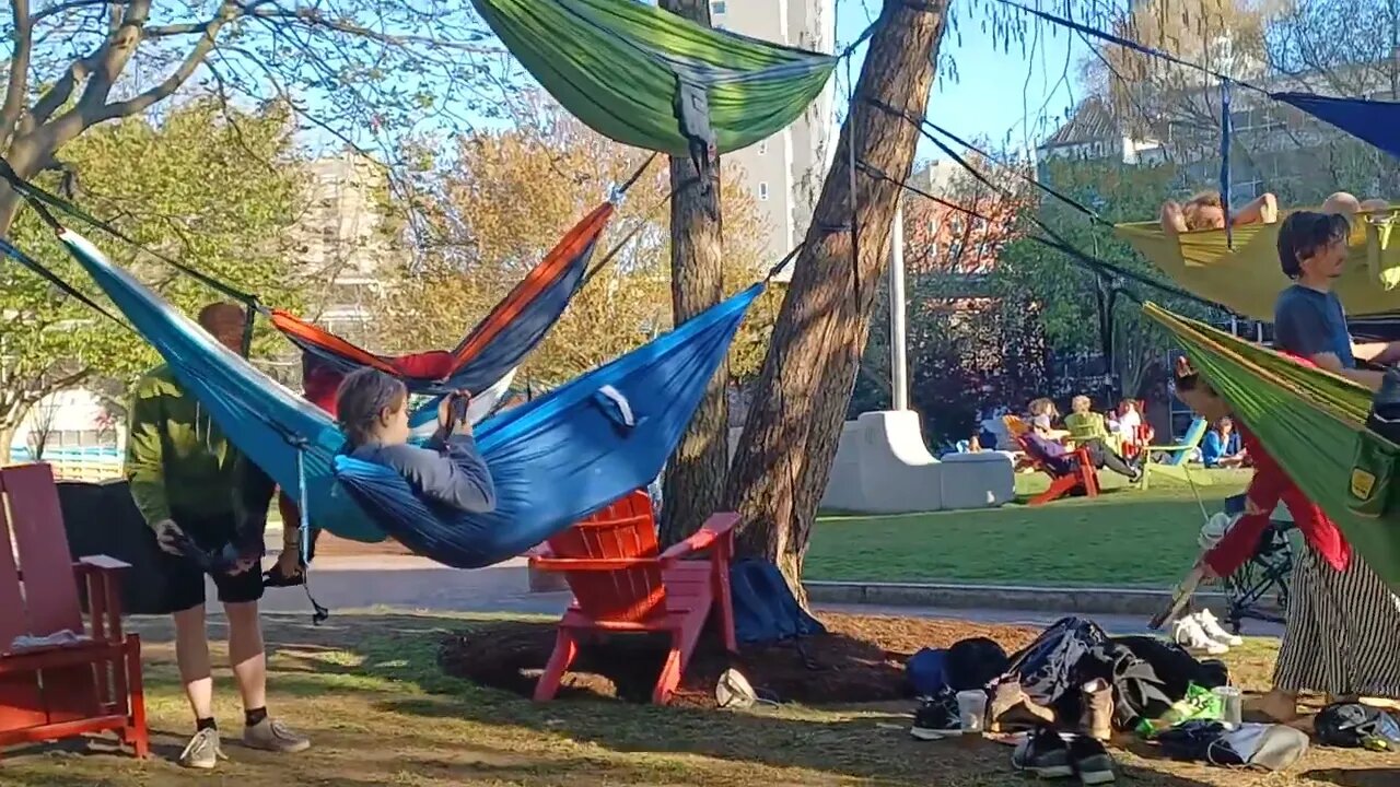 Northeastern students enjoying the outdoors