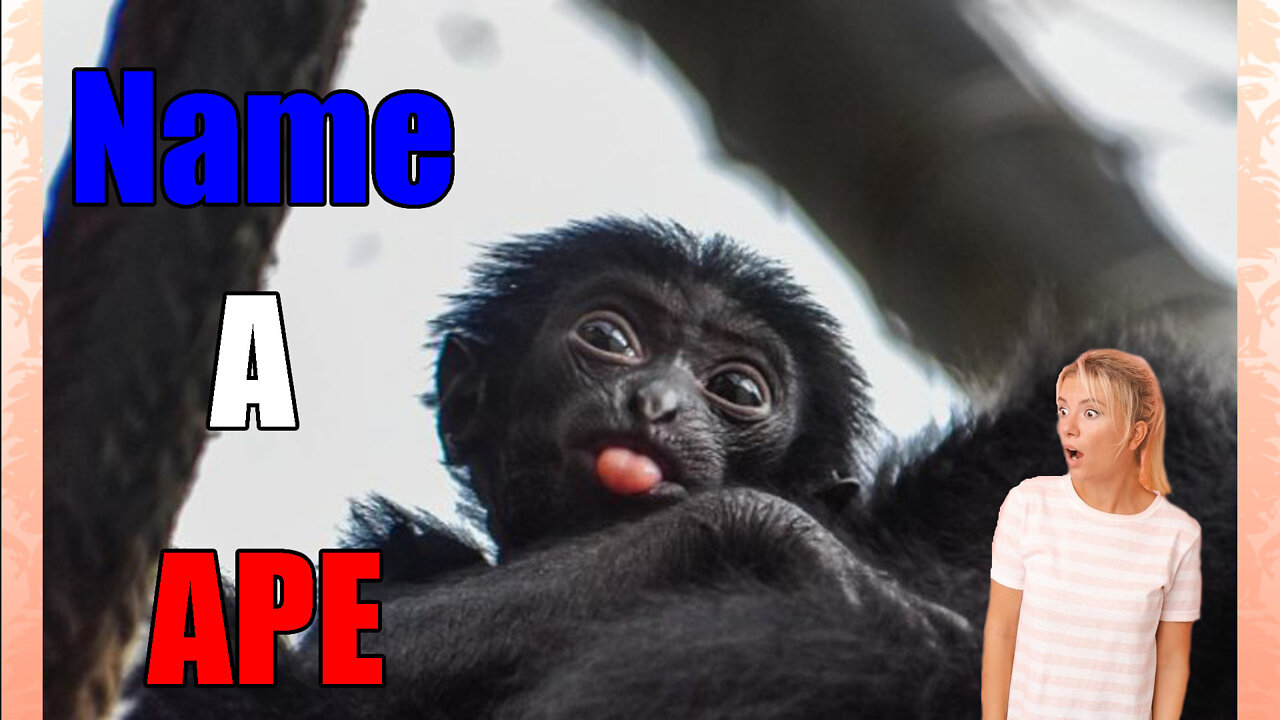 How Would you Like To Name A Baby Ape?