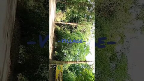 Village View