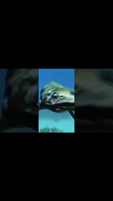 Are YOU Up for the Challenge?