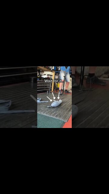 We’re blowing up on YouTube #Shorts