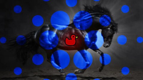 Cardano: DeFi's dark horse or dead duck?