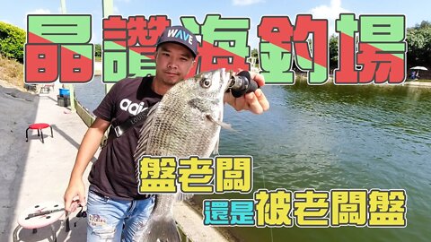 【台客去釣魚】海釣場什麼魚吃就釣什麼魚！這場金鯧不見了換黑鯛來報到！ feat.晶讚海釣場