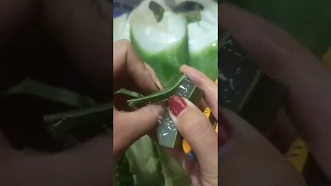 aloe is not only a medicine