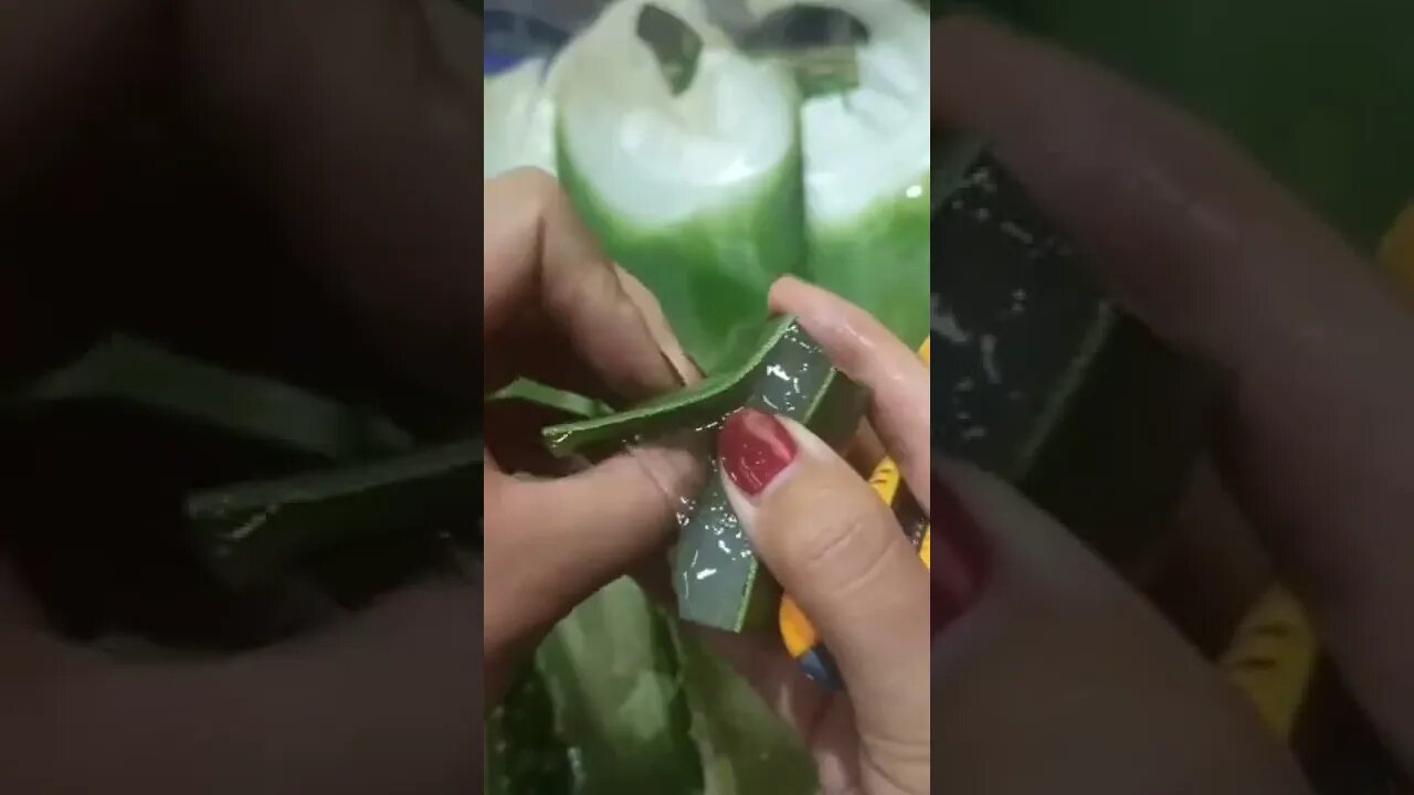 aloe is not only a medicine