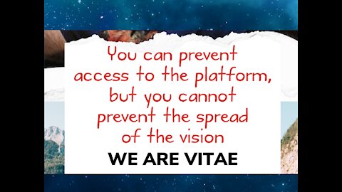 Vitae Global Statement