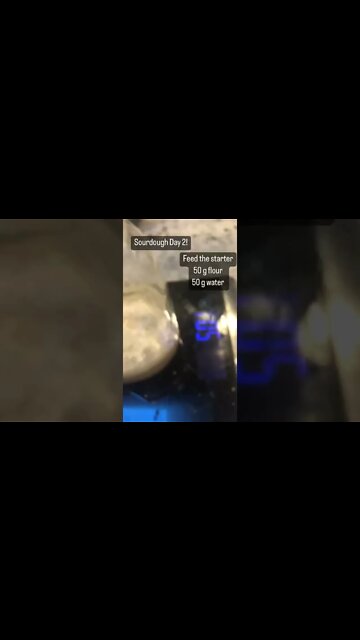 Sourdough Starter: Day 2