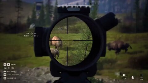 Way Of The Hunter: Shootin' Deers And Sinkin' Beers, Yeah Boy!