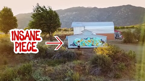 STREET ARTIST PAINTS A GIANT FARM!