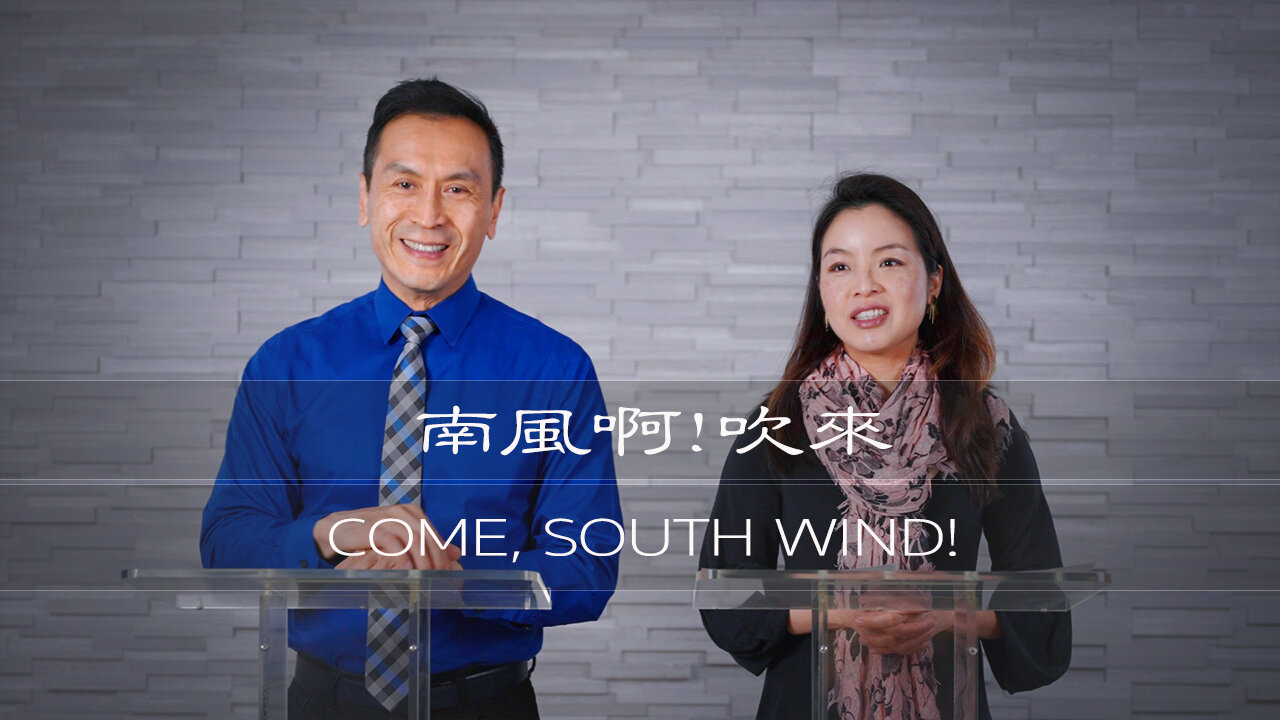 曾子雨 : 南風啊!吹來 | Chellis Tsang: Come, South Wind!