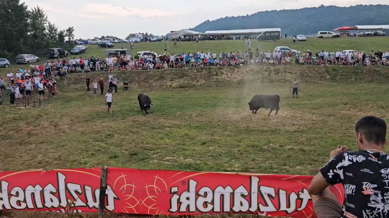 Brnjo Adis Džafić vs Garod Braća Hodžić