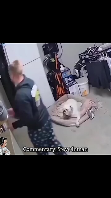 Fear Factor Home Edition