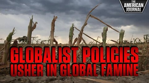 Globalists Doggedly Pursue Policies Leading Directly To Worldwide Famine