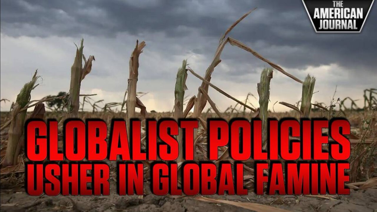 Globalists Doggedly Pursue Policies Leading Directly To Worldwide Famine