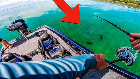 Sight Fishing ULTRA Clear Water (GIANT Bass)