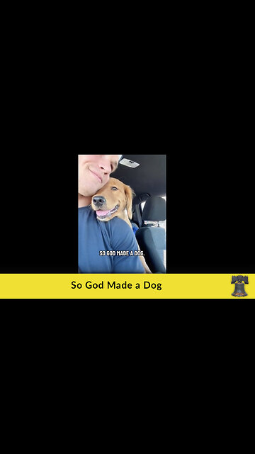 So God Made a Dog