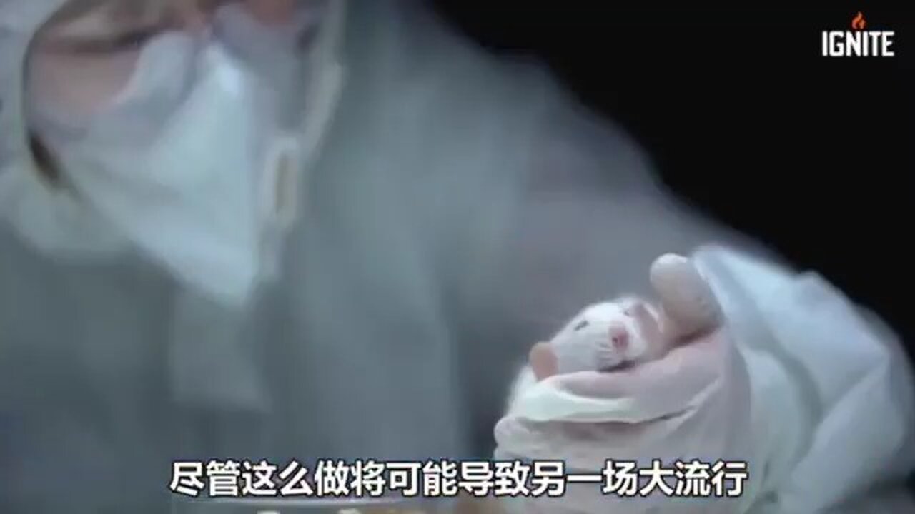 LO QUE ACABAN DE DESCUBRIR EN CHINA SERIA EL FIN DE LA HUMANIDAD