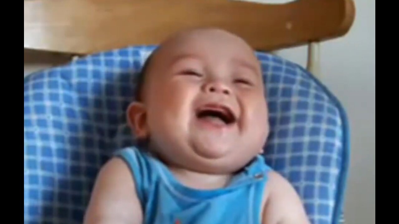 Best Babies Laughing Funny Videos