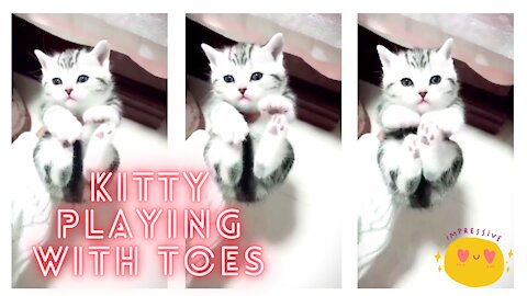 Aww.. Cutie kitty touching toes like babies.