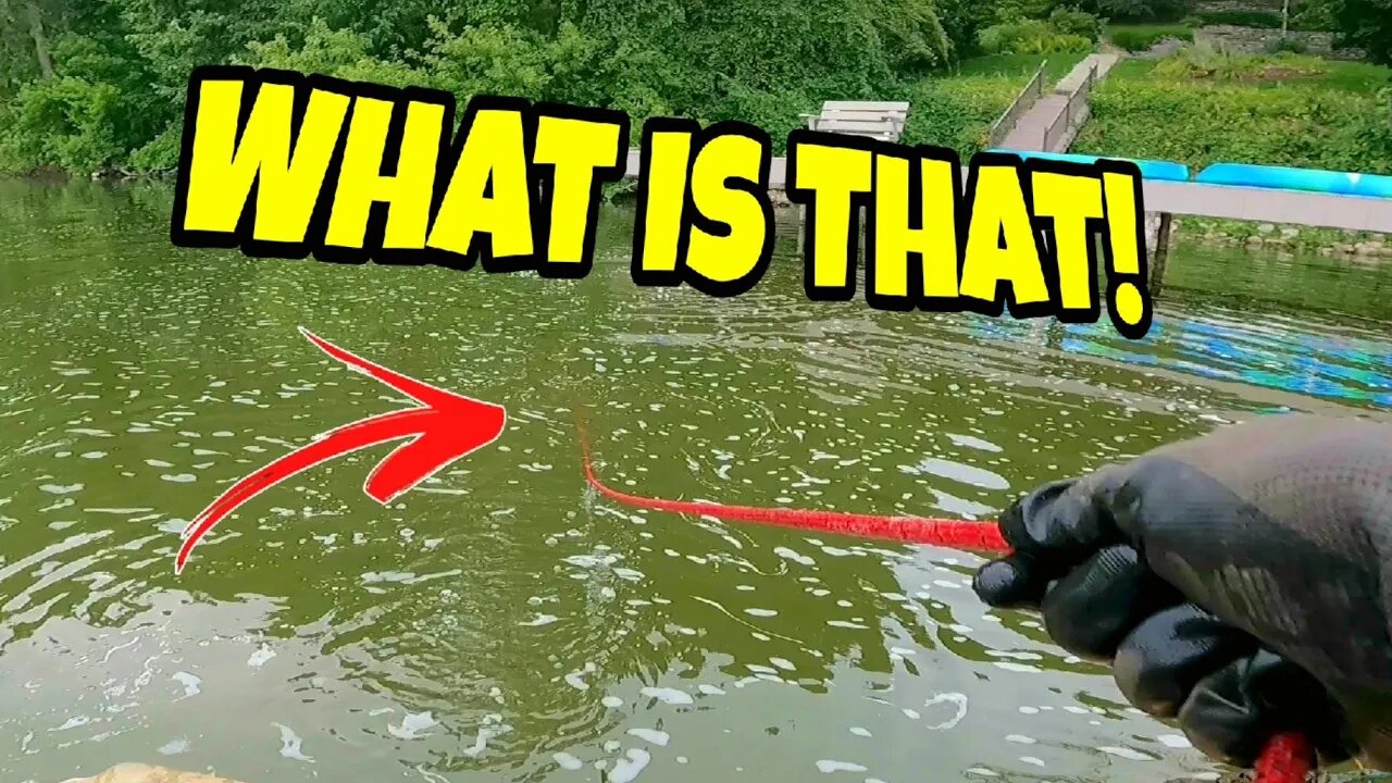 GIANT MAGNET Stumbled Upon a Hidden Secret NEVER Expected to be Found!