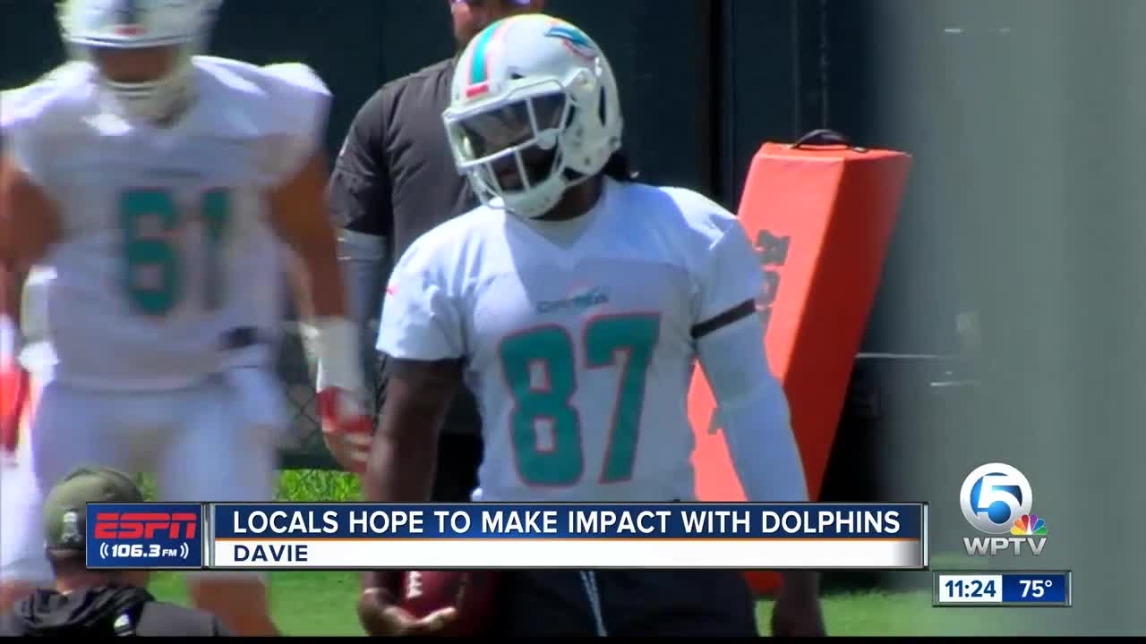 PB County players make impact for Dolphins