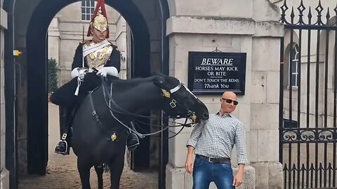 The horse was determined to get every one of them 😆 😆 🤣 😂 #horseguardsparade