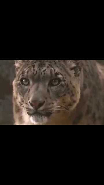 CLAIMING A PROMISE OF GOD - DAILY DEVOTIONAL ❤️