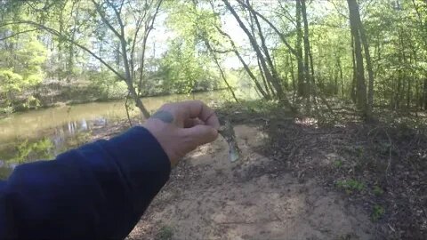 Fish tail 4 mama Goose