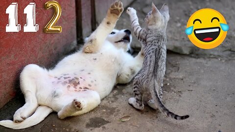 New Funny Videos 2023 😍 Cutest Cats and Dogs 🐱🐶 Part 112