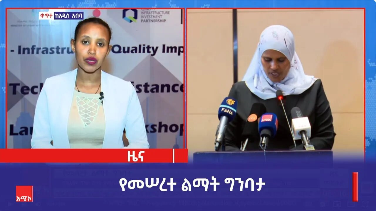 በዓለም ባንክ ድጋፍ የሚከናወኑ የከተሞች የመሠረተ ልማት ዓለም አቀፍ ተሞክሮ ላይ አውደ ጥናት እተካሄደ ነው።