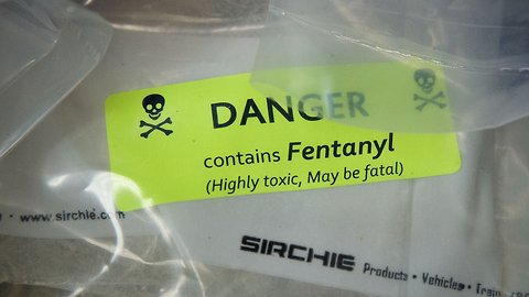 The Government Wants Your Help In Detecting Illegal Opioid Shipments