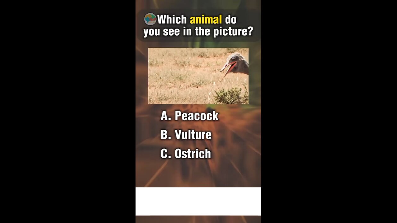 Quiz about animal.