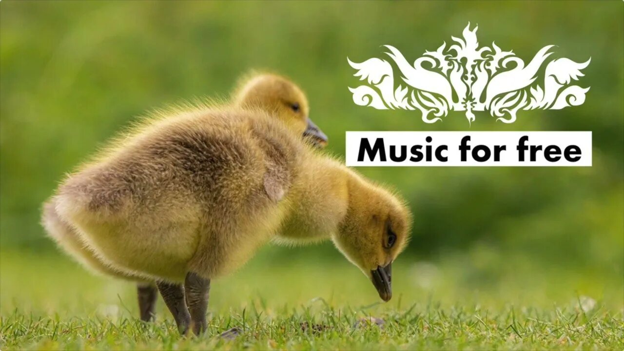 Relaxing Sleep Music • Sustained Wednesday Radio Edit from Solxis