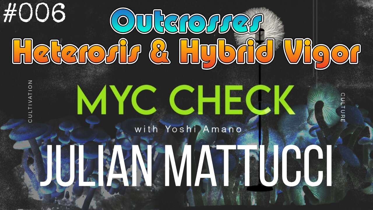 Outcrosses, heterosis, and hybrid vigor w Julian Mattucci - Myc Check with Yoshi Amano ep 006