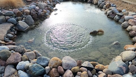 pond ice time-lapse 2/12/22