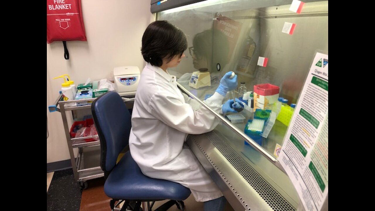 Health Department lab techs extract DNA from mosquitoes as first line of defense against West Nile