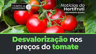 Desvalorização nos preços do tomate. Dificuldades na comercialização do mamão Havaí no ES