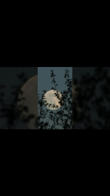 Listen to full meditations at Women's meditation network channel #meditation #sleep #shorts