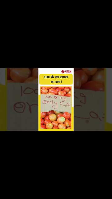 Jaipur में 100 के पार पहुंचा टमाटर का दाम #shorts #tomatorate #shortsvideo #tomatoprice
