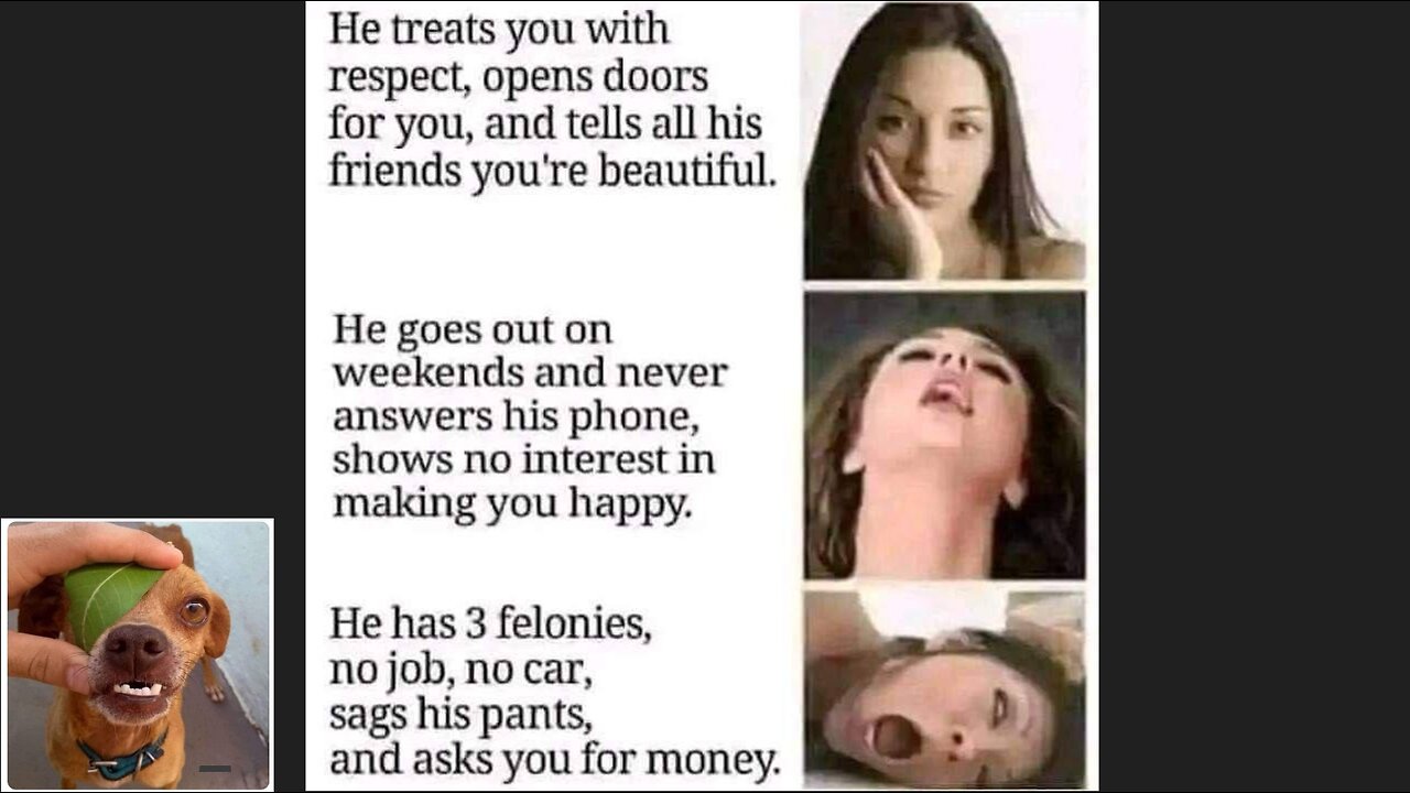 Memes That Will 99.978% Make You Laugh. (e203)