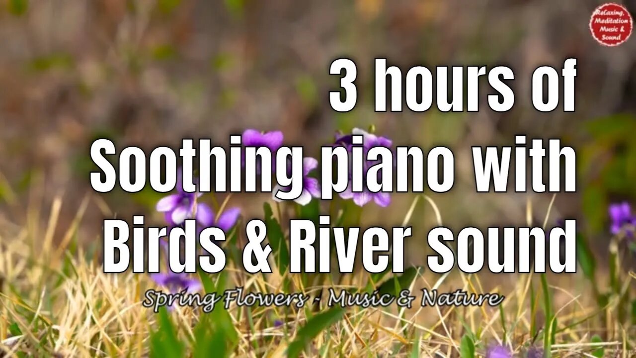 Soothing music with piano, birds and river sound for 3 hours, calm music for study and work