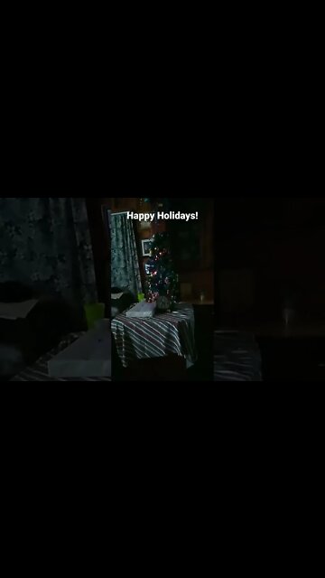 The Berry Family Christmas Tree