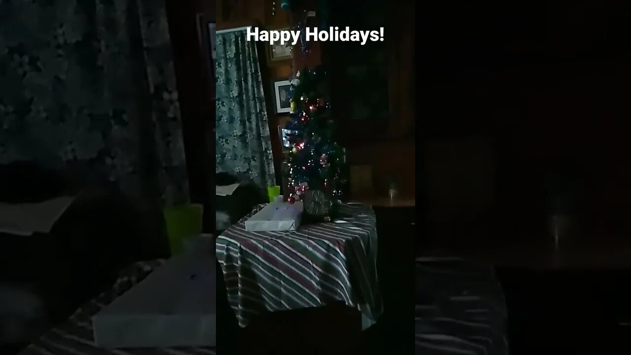 The Berry Family Christmas Tree