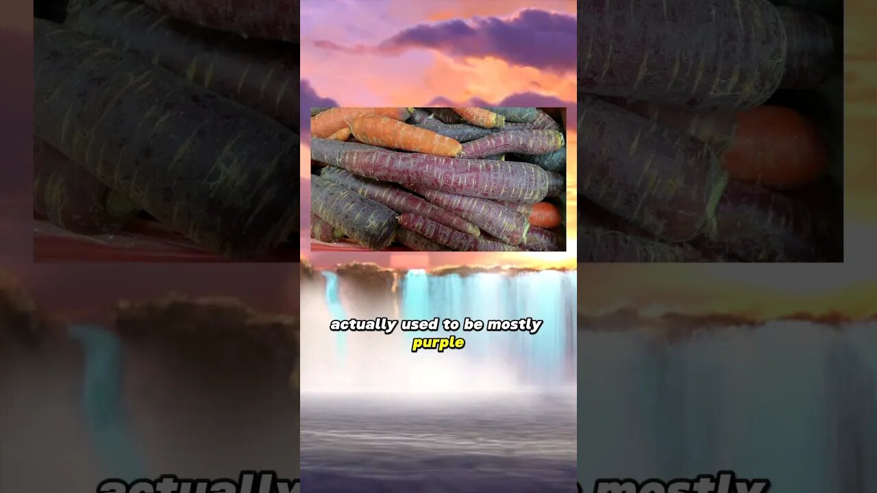 Carrots True Form!