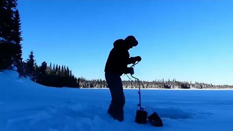 THIS ! had ! to be DONE! At Our Off Grid, Alaskan Cabin