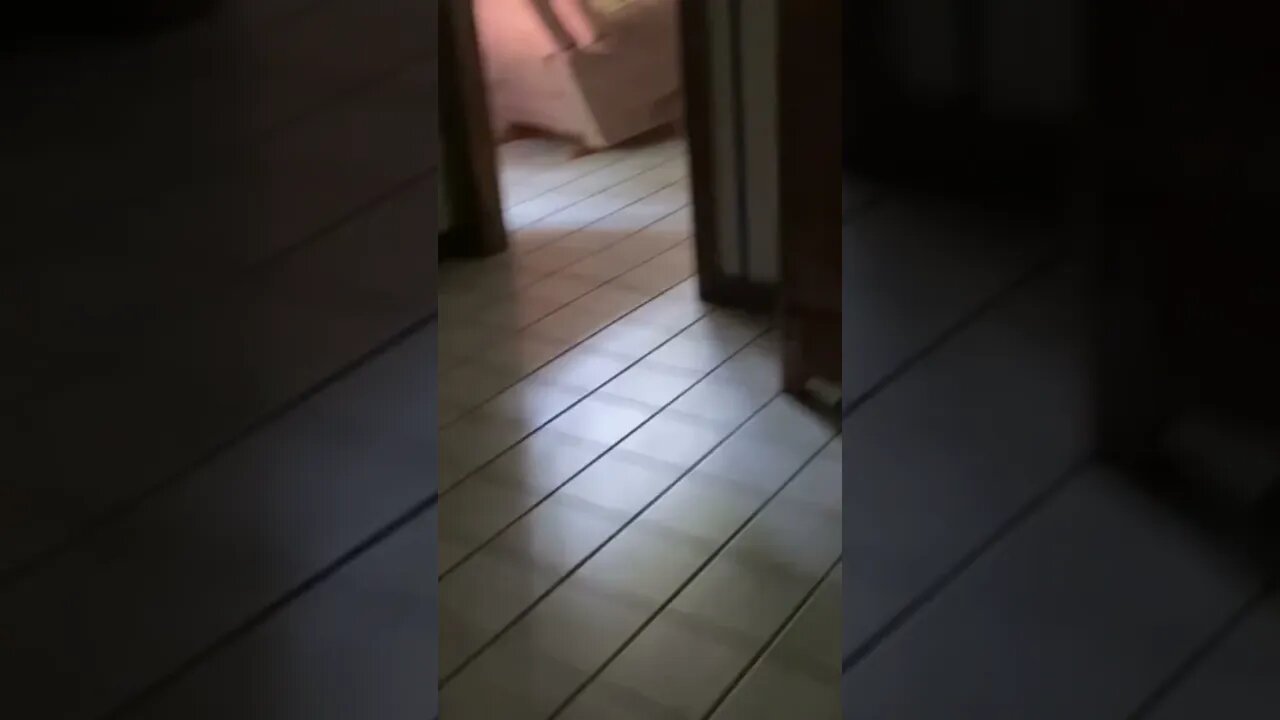 Uncle Scared the Poop out of Me