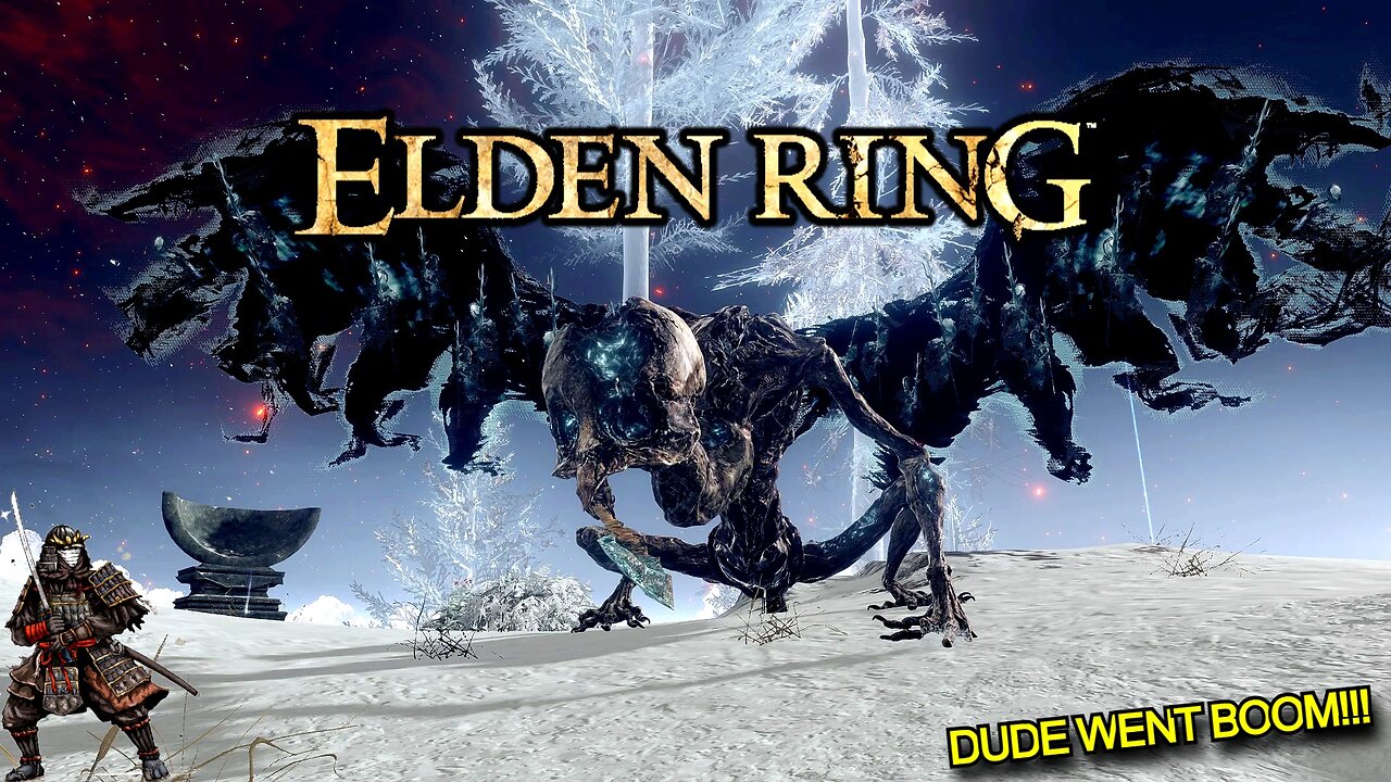 Elden Ring - I Finally Died In Combat (Stupid Bird)